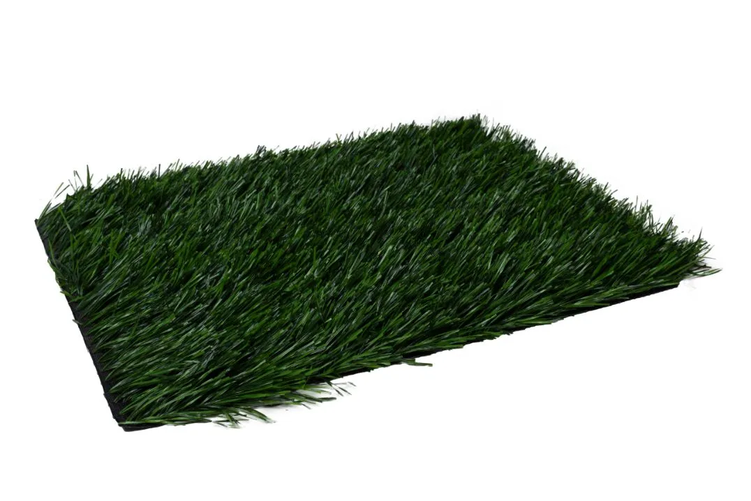 Football grass FG