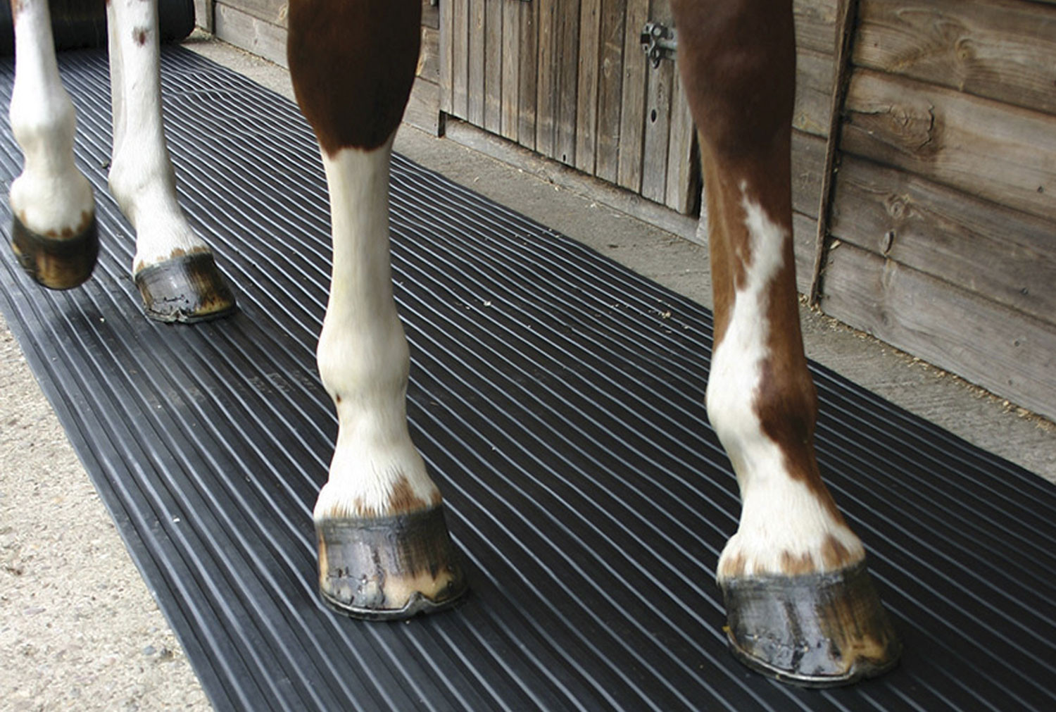 Horse  mat